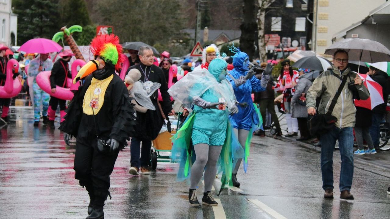 Rosenmontag_2019_027.JPG